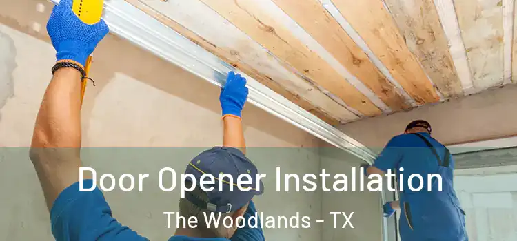 Door Opener Installation The Woodlands - TX