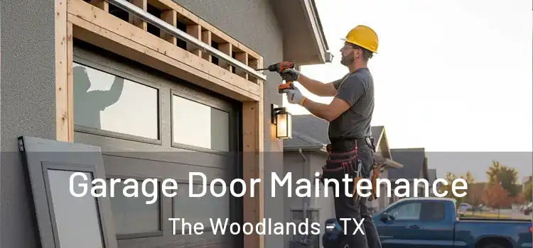  Garage Door Maintenance The Woodlands - TX