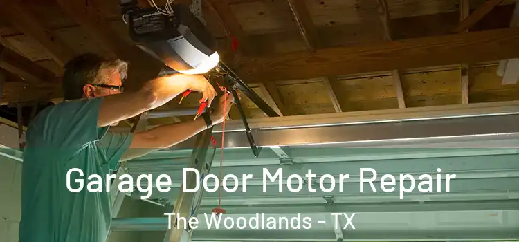  Garage Door Motor Repair The Woodlands - TX