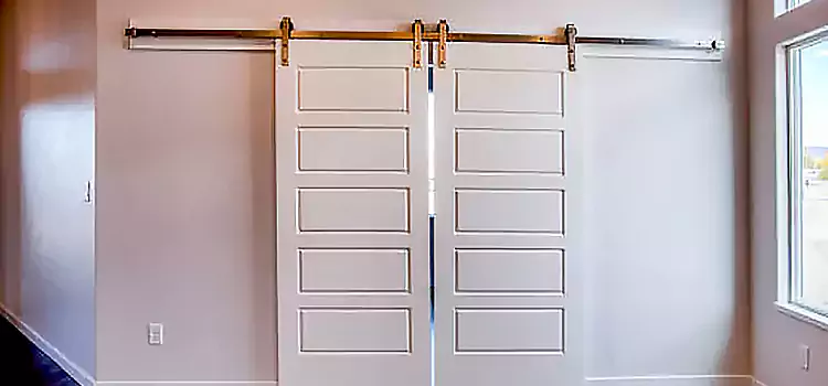 Glass Barn Door with Installation Hardware Kit The Woodlands