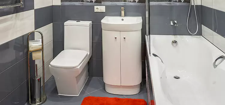 Hansgrohe Shaving Mirror The Woodlands