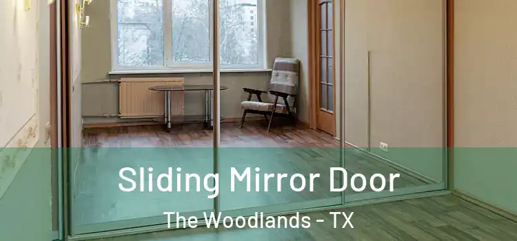  Sliding Mirror Door The Woodlands - TX